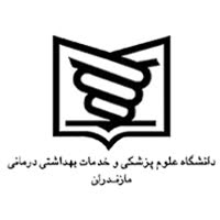 لوگوی مشتری